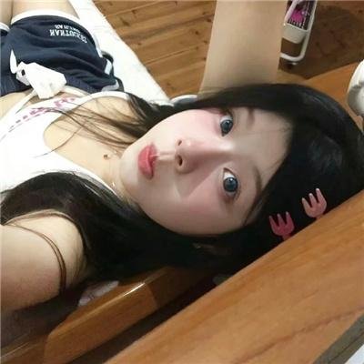 猫咪情缘封面