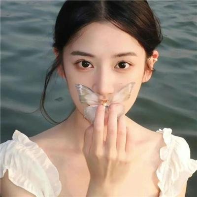 总统特务封面