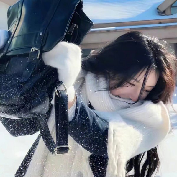 再见玛丽·包萍封面